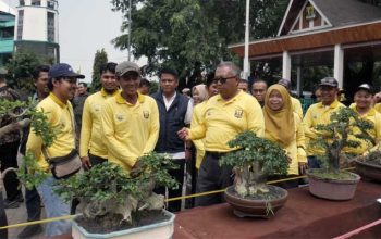 Bonsai Sukabumi