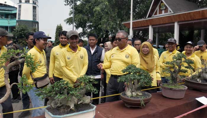 Bonsai Sukabumi