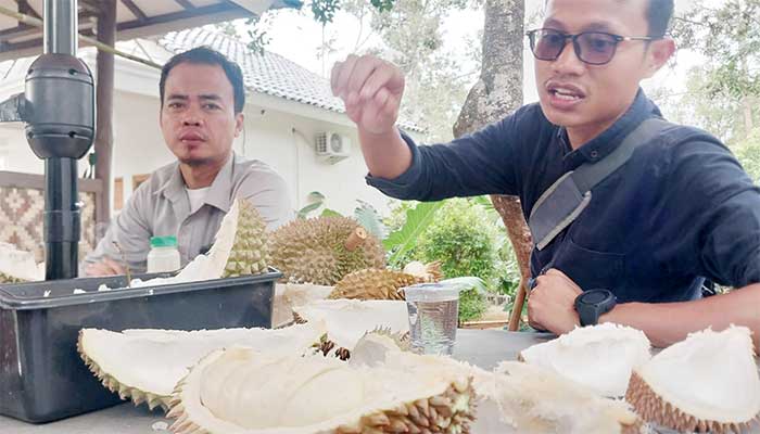 Durian Si Sawo Palabuhanratu Sukabumi
