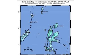 Gempa Maluku