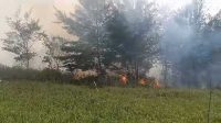 Kebakaran Lahan Pinus Simpenan Sukabumi