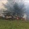 Kebakaran Lahan Pinus Simpenan Sukabumi