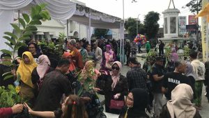 Warga Kota Sukabumi Dapat 5.000 Benih Pohon Bermutu Gratis
