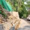 Tebing Longsor Sukawayana Sukabumi