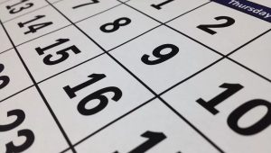 Cek Daftar Libur Nasional dan Cuti Bersama Bulan Juni 2024, Ada Long Weekend Selama 4 Hari