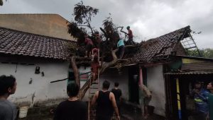 Ratusan Rumah di Dua Desa Cidahu Rusak Diterjang Angin Puting Beliung