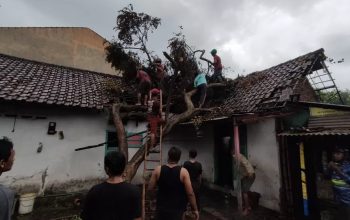 BENCANA ALAM : Ratusan rumah di dua Desa Kecamatan Cidahu rusak Rusak Diterjang Angin Puting Beliung, Pada Kamis Sore (10/11/2023). (Foto : ilustrasi)