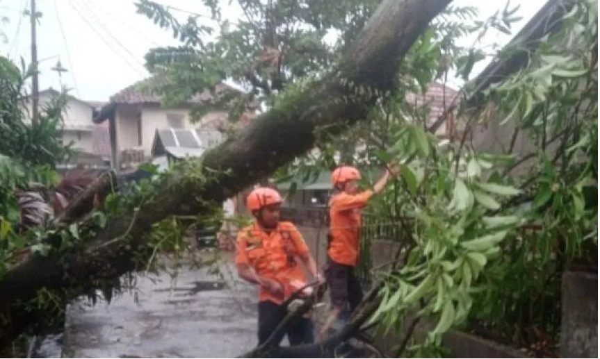 Pohon menimpa bangunan akibat bencana alam angin kencang di Kecamatan Ciomas, Kabupaten Bogor, Jawa Barat, Selasa (31/10/2023). (BPBD Kabupaten Bogor)