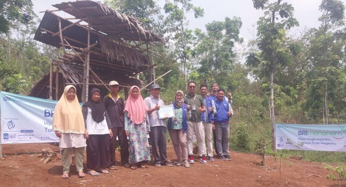 BRI MENANAM 2023: BRI Unit Pelabuhan Ratu memberikan bantuan 110 bibit pohon durian di Desa Sampora Kecamatan Cikidang, pada Jumat (10/11/2023).