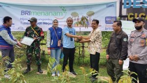 BRI Kanca Cibadak Kurangi Emisi Karbon, Tanam 770 Bibit Pohon di 7 Desa di Kabupaten Sukabumi