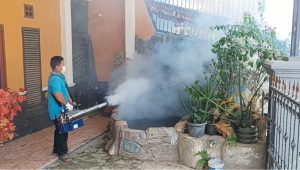 Warganya Terserang DBD, Puskesmas Ciracap Lakukan  Fogging