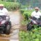 Bupati Sukabumi Buka wisata Goalpara Tea Park