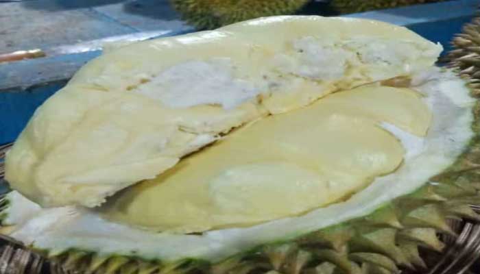 Durian Ci Igung Cikakak Sukabumi