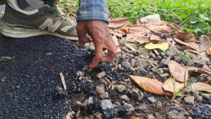 Proyek Jaling di Desa Cireunghas Sukabumi Disoal Warga, Baru Dibangun Terkelupas Lagi