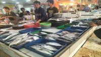 Pedagang Ikan kota Sukabumi