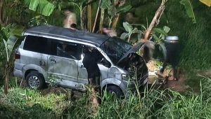 Brakk, Mini Bus Ringsek Terperosok di Jalan Alternatif Puncak