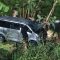 Kondisi mini bus setelah terperosok di jalur alternatif Puncak, Selasa (18/12/2023) malam.