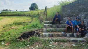 Stadion Suryakencana Kota Sukabumi Tak Terurus, Tribun Penonton Ditumbuhi Rumput Liar