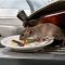 Tidak sedikit tikus yang berkeliaran dengan bebas di rumah yang bisa menularkan banyak penyakit (Nur Afni Septiani)