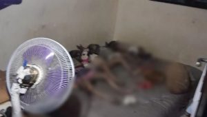 Sadis 4 Anak Dibunuh Orang Tuanya Sendiri Didalam Kamar, Motifnya?