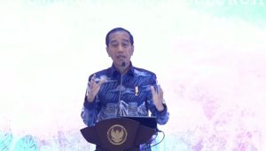 Arsitektur Daerah Dicat Warna Partai Politik, Jokowi : Itu Untuk Apa Toh ?