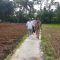 drh Slamet