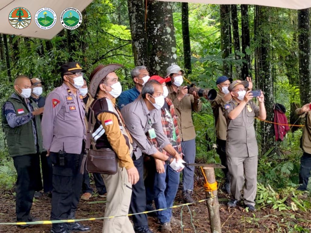Kepala Balai Besar Taman Nasional Gunung Gede Pangrango (TNGGP) Cianjur, Jawa Barat, melepas Elang Jawa betina bernama Kalina ke alam bebas di kawasan Gunung Gede Pangrango, Jumat (5/1/2024). (Ahmad Fikri)