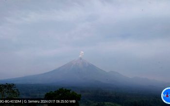 Kembali Gunung Semeru meletus 5 kali sejak pagi ini, di mana kolom debu hingga ketinggian 600 meter dari atas puncak gunung-PVMBG-