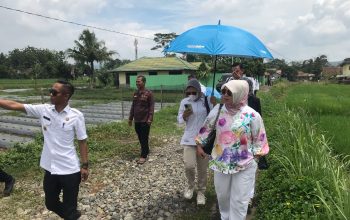 MENINJAU : Anggota DPRD Provinsi Jawa Barat yang juga sebagai kader Gerindra Lina Ruslinawati pada saat meninjau langsung lahan pertanian milik Desa Sasagaran yang dikaryakan jadi ladang pertanian masyarakat. 