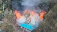 KKB Papua bakar rumah anggota DPRD Intan Jaya Papua Tengah. (ist)