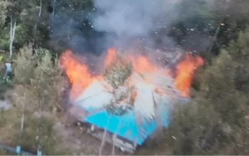 KKB Papua bakar rumah anggota DPRD Intan Jaya Papua Tengah. (ist)