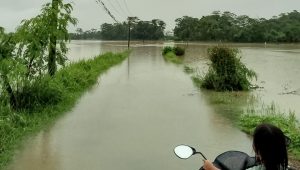 Bencana Banjir Rendam Tiga Desa di Ciemas Sukabumi, Perjalanan Anak Sekolah Terganggu
