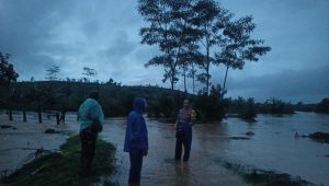 Puluhan Hektare Sawah di Desa Cijulang Jampang Tengah Terendam Banjir