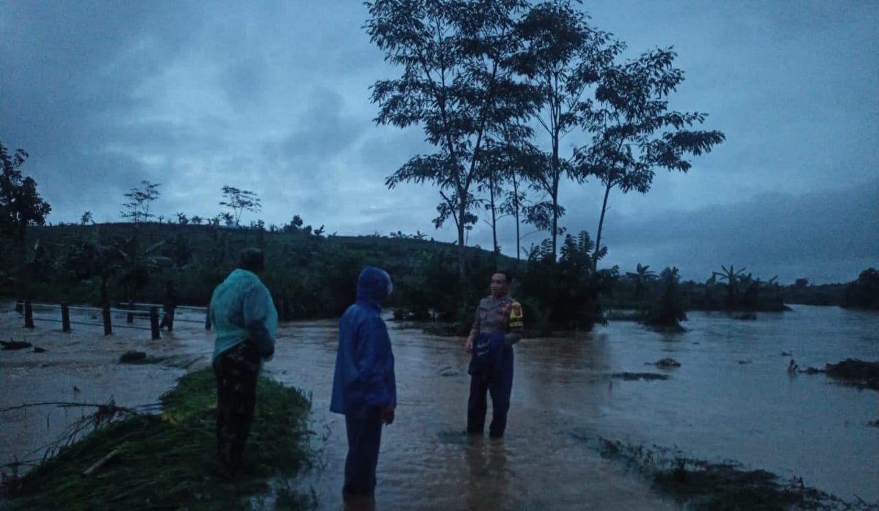 Kondisi pesawahan terendam banjir di wilayah Desa Cijulang, Kecamatan Jampang Tengah.(foto : ist)