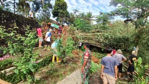Rumpun Bambu di Cibadak Tumbang, Tutup Jalan dan Rusak Jaringan Listrik