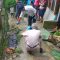 OLAH TKP : Petugas Polsek Gunungguruh dan Polres Sukabumi Kota, saat olah TKP warga tewas tersengat listrik di Kampung Tanjungsari, RT 004/RW 008. Desa Sirnaresmi, Kecamatan Gungngguruh, Kabupaten Sukabumi pada Senin (22/01) pagi.(FOTO: UNTUK RADAR SUKABUMI)