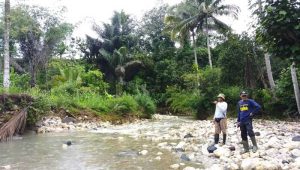 Irigasi di Desa Sindangresmi Sukabumi Rusak, 100 Ha Sawah Terancam Kekeringan