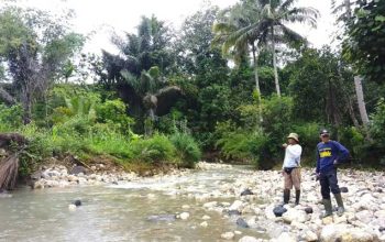 Irigasi Desa Sindangresmi Sukabumi