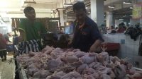 Harga Daging Ayam Broiler di Sukabumi Merangkak Naik
