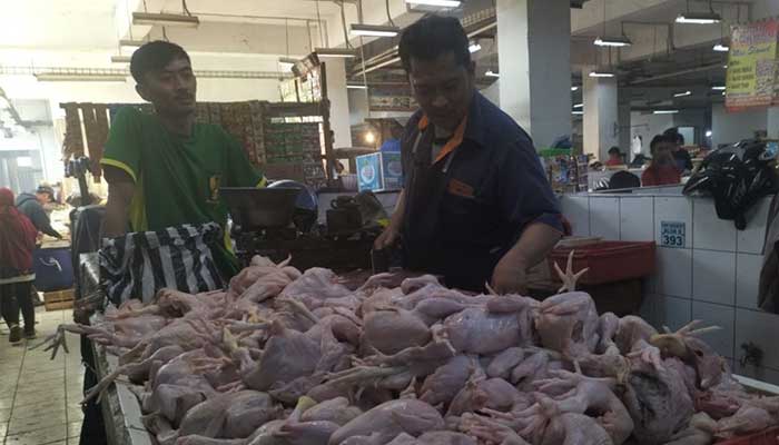 Pedagang Ayam Pasar kota Sukabumi
