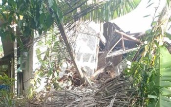 Pohon Tumbang Gegerbitung Sukabumi
