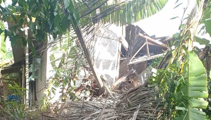 Pohon Tumbang Gegerbitung Sukabumi