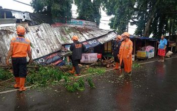 Pohon Tumbang Kota Sukabumi