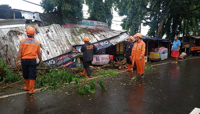 Pohon Tumbang Kota Sukabumi