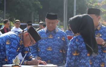 Besaran gaji pertama PPPK 2023 dan jadwal pembayaran gaji pertama PPPK 2023 lengkap dengan 8 tunjangan (Pemkab Bogor)
