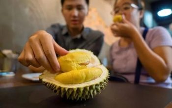Ilustrasi - Buah Durian./Freepik