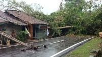 Jalan penghubung antar kecamatan di Kecamatan Sindangbarang, Kabupaten Cianjur, Jawa Barat, terputus sementara akibat pohon tumbang, akibatnya aktifitas warga terhambat, Rabu (3/1/2024). (Ahmad Fikri)