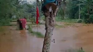 Bendungan Jebol, Kampung Ciengang Kertajaya Banjir