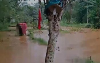 Sejumlah lahan pertanian di Kampung Ciengang, RT 010, RW 05, Desa Cihaur, Kecamatan Simpenan, Kabupaten Sukabumi, Jabar terendam banjir akibat jebolnya bendungan untuk perkebunan sorgum di Kampung Cimelati, Desa Kertajaya, Kecamatan Simpenan jebol pada Senin, (1/1/2024). (Aditya Rohman)