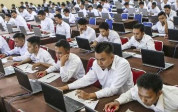 Rekrutmen CPNS 2024 membuka 11 formasi untuk lulusan S1 (Siti Zulfa Fauziah)